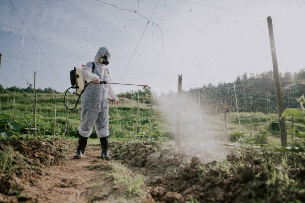 Best Mosquito Control Services  in Dumfries, VA
