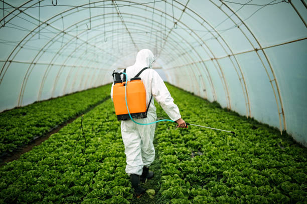 Best Emergency Pest Control  in Dumfries, VA