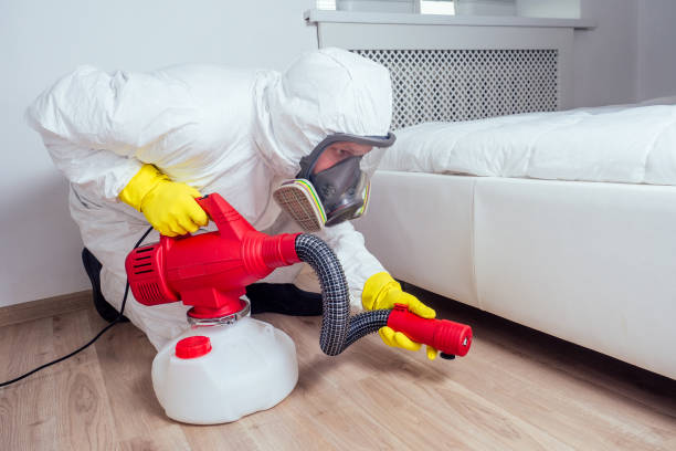 Best Flea Control Services  in Dumfries, VA