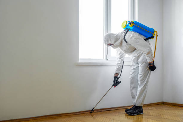 Best Pest Removal Services  in Dumfries, VA