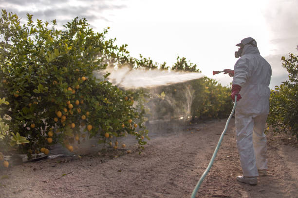 Best Commercial Pest Control Services  in Dumfries, VA