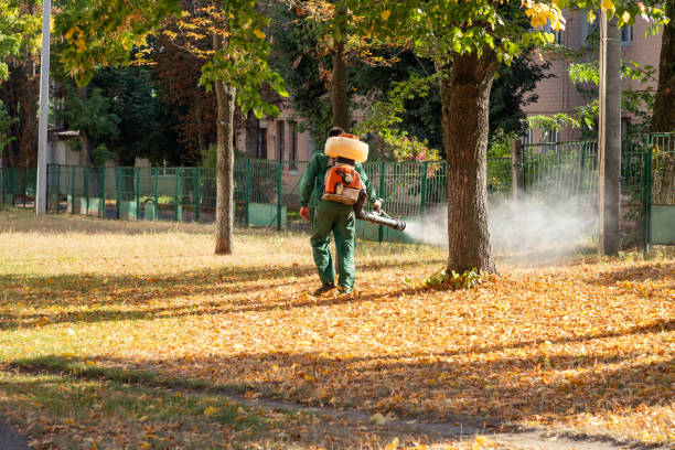 Flea Control Services in Dumfries, VA